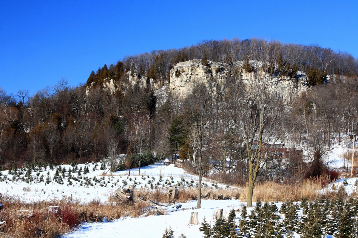 attractions in milton