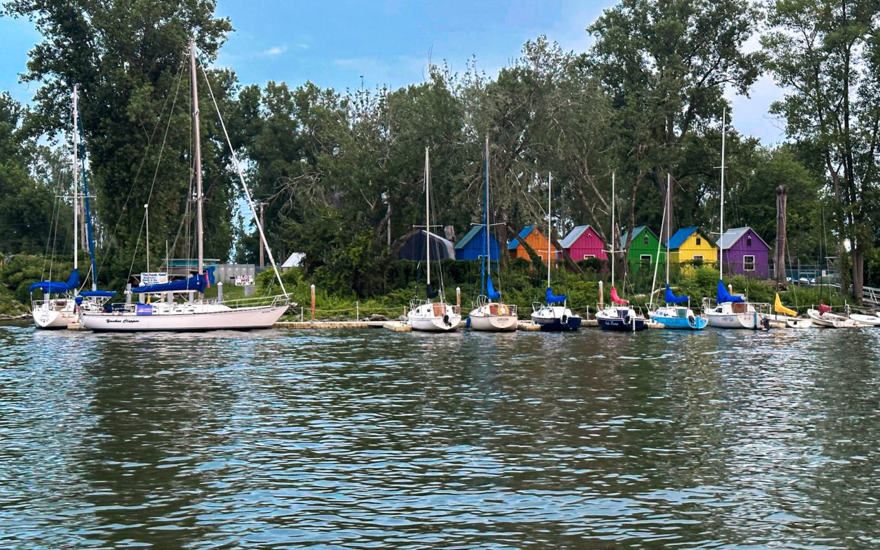 best things to do in buffalo 41