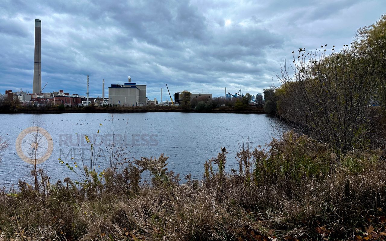 a body of water with plants and buildings in the background - biking trails toronto