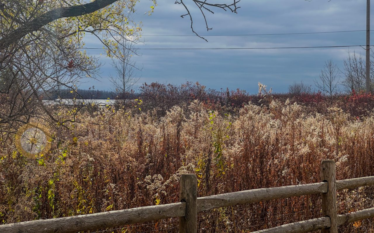 a fence and trees in a field - biking trails toronto