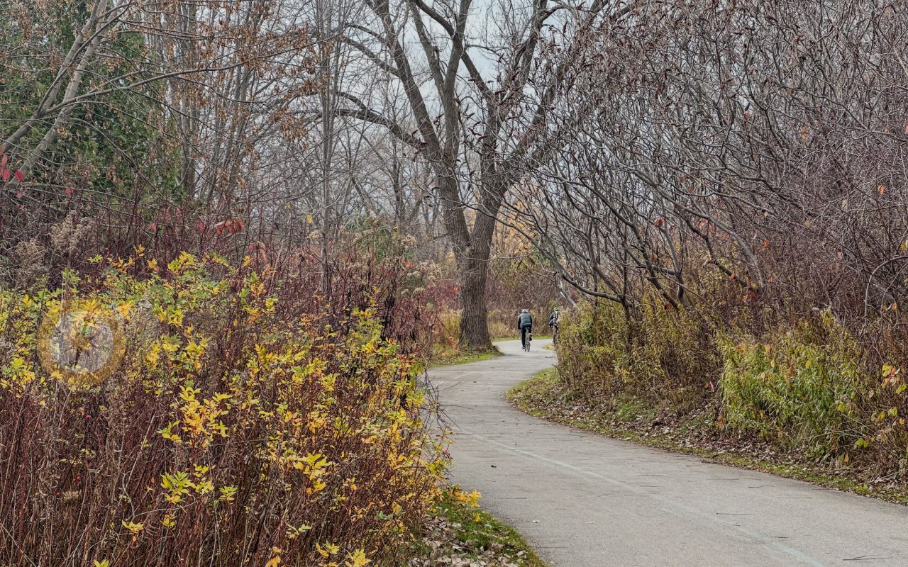 a path with trees and bushes - biking trails toronto