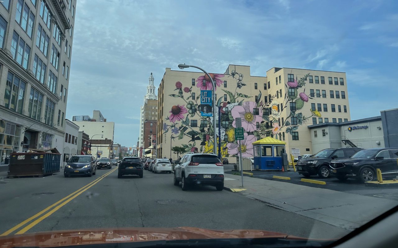 buffalo attractions