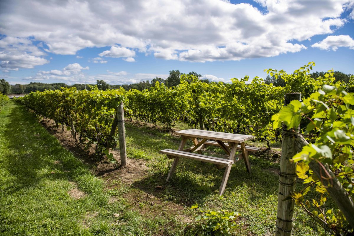 things to do in laval