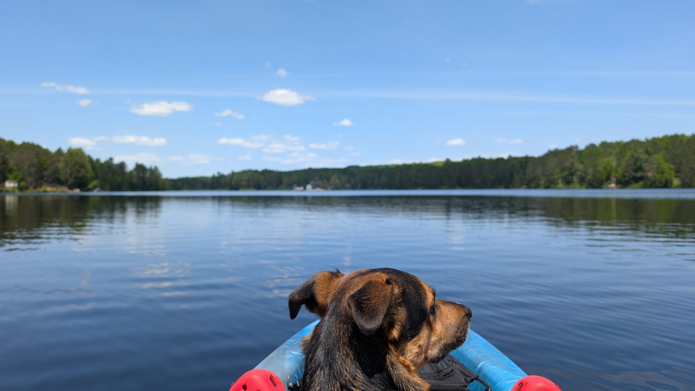 camping in ontario provincial parks - dog in a kayak at lake st peter provincial park