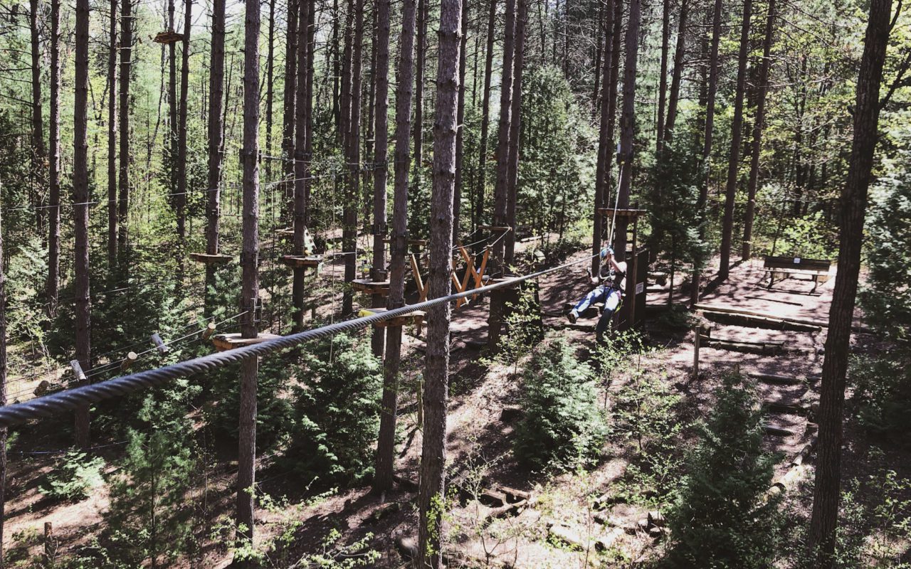 a person ziplining through the forest at treetop eco-adventure park