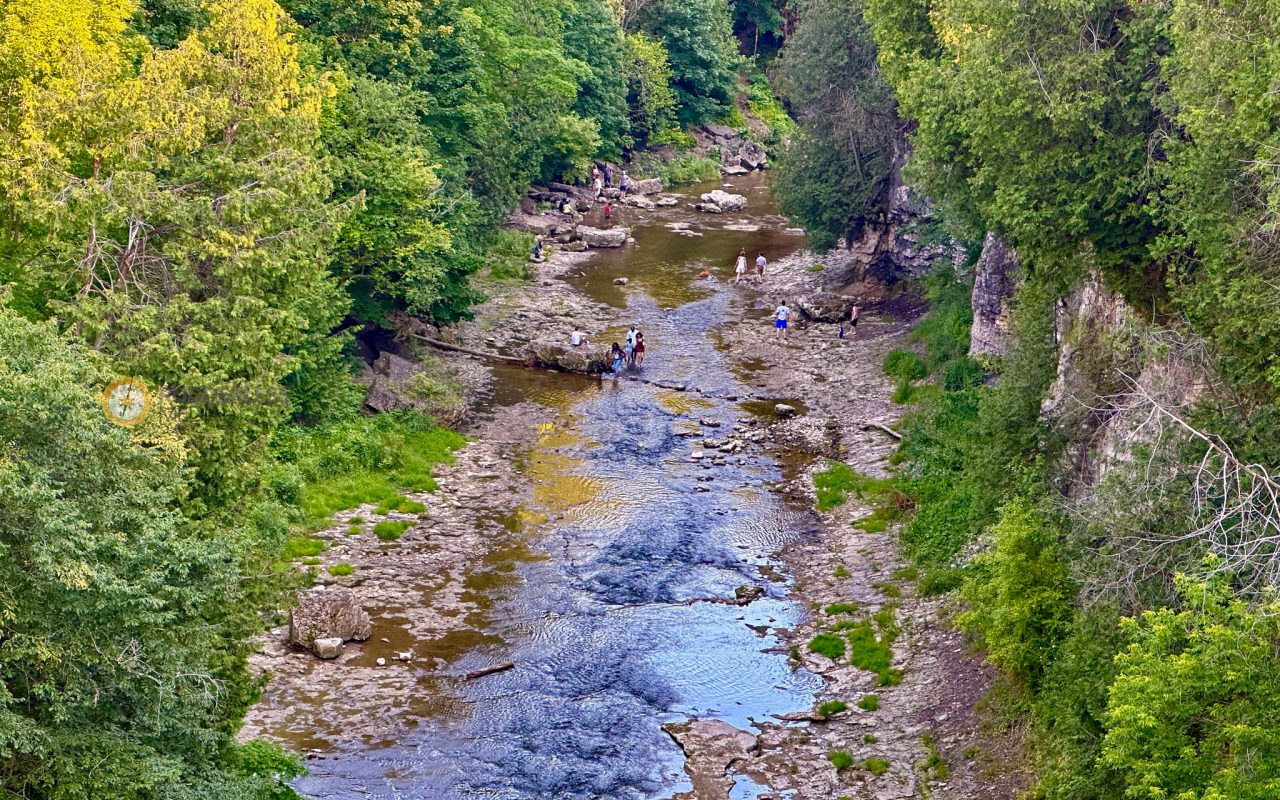 elora gorge - a river with rocks and trees