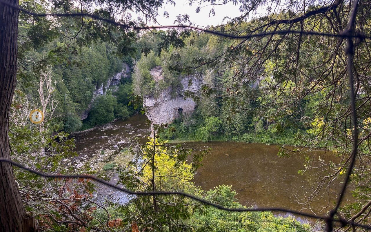 elora gorge - a river surrounded by trees