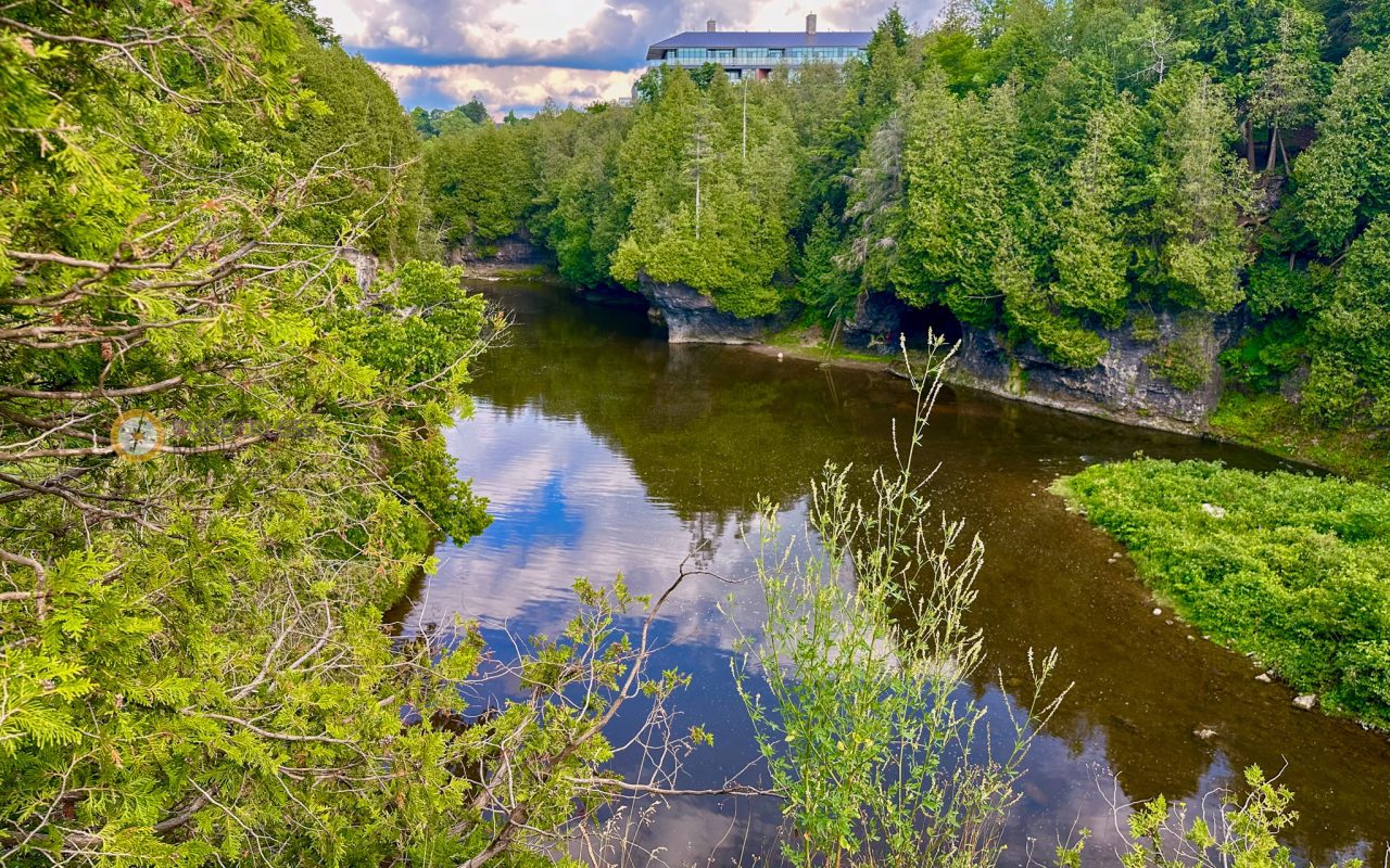 elora gorge - a river with trees around it