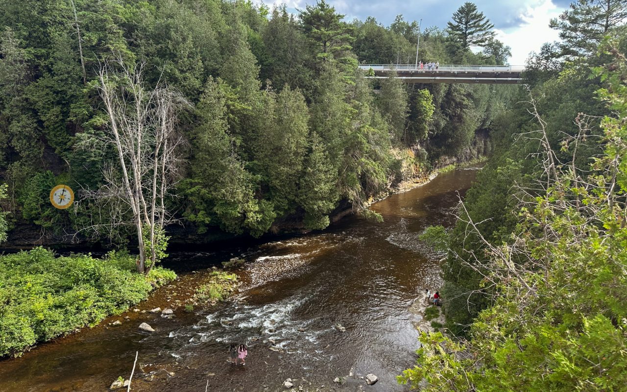 elora gorge conservation area - a river with trees and a bridge over it
