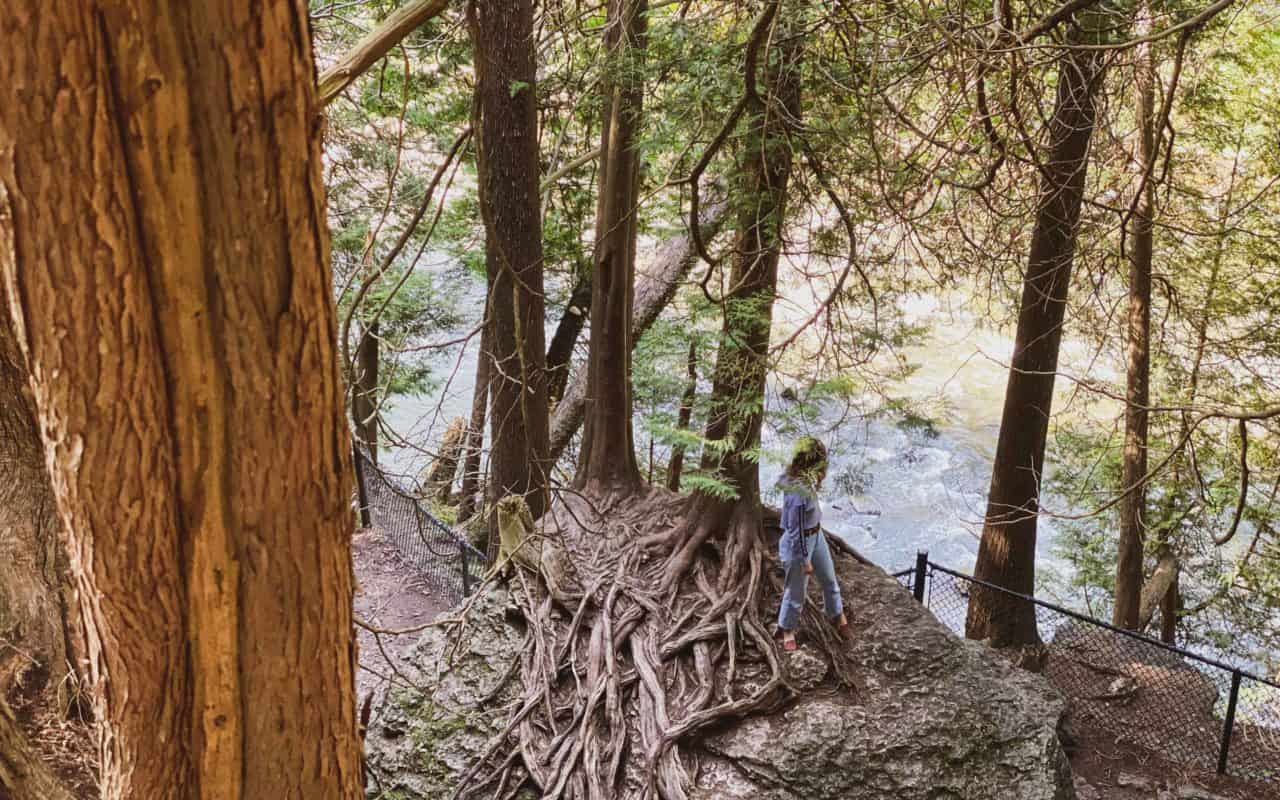 elora gorge lookout