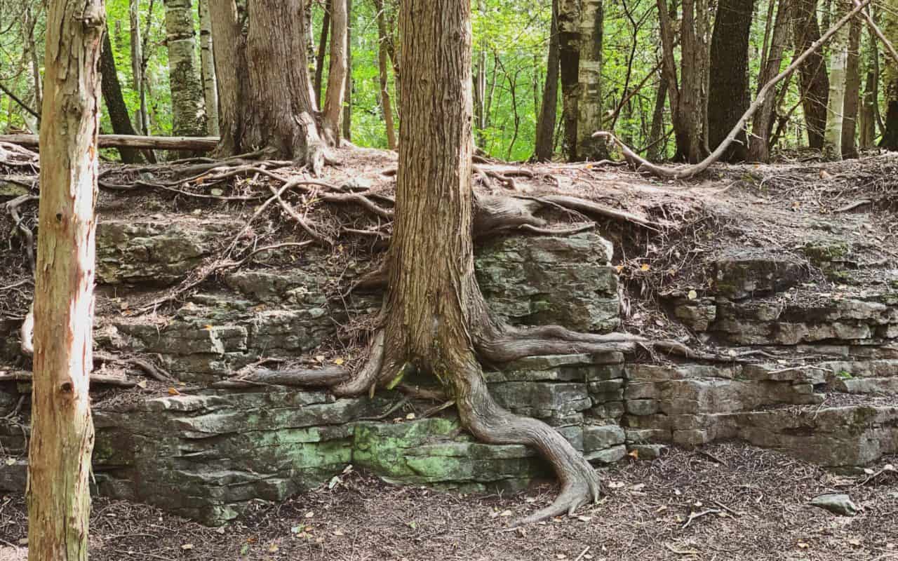elora things to do