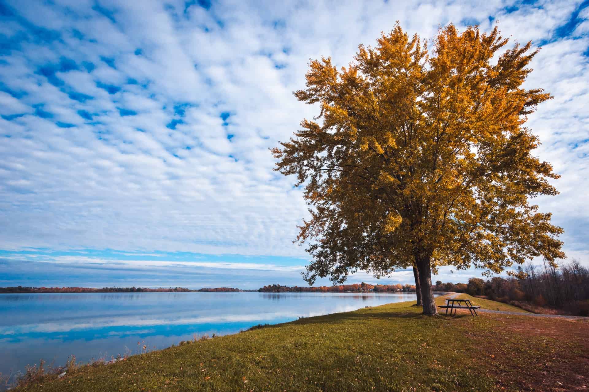 things to do in kingston