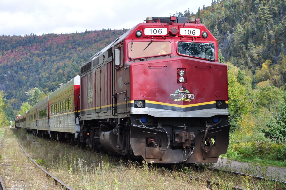 train travelling through a wooded area | fall in ontario