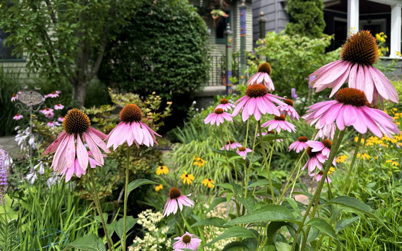free things to do in buffalo ny 21