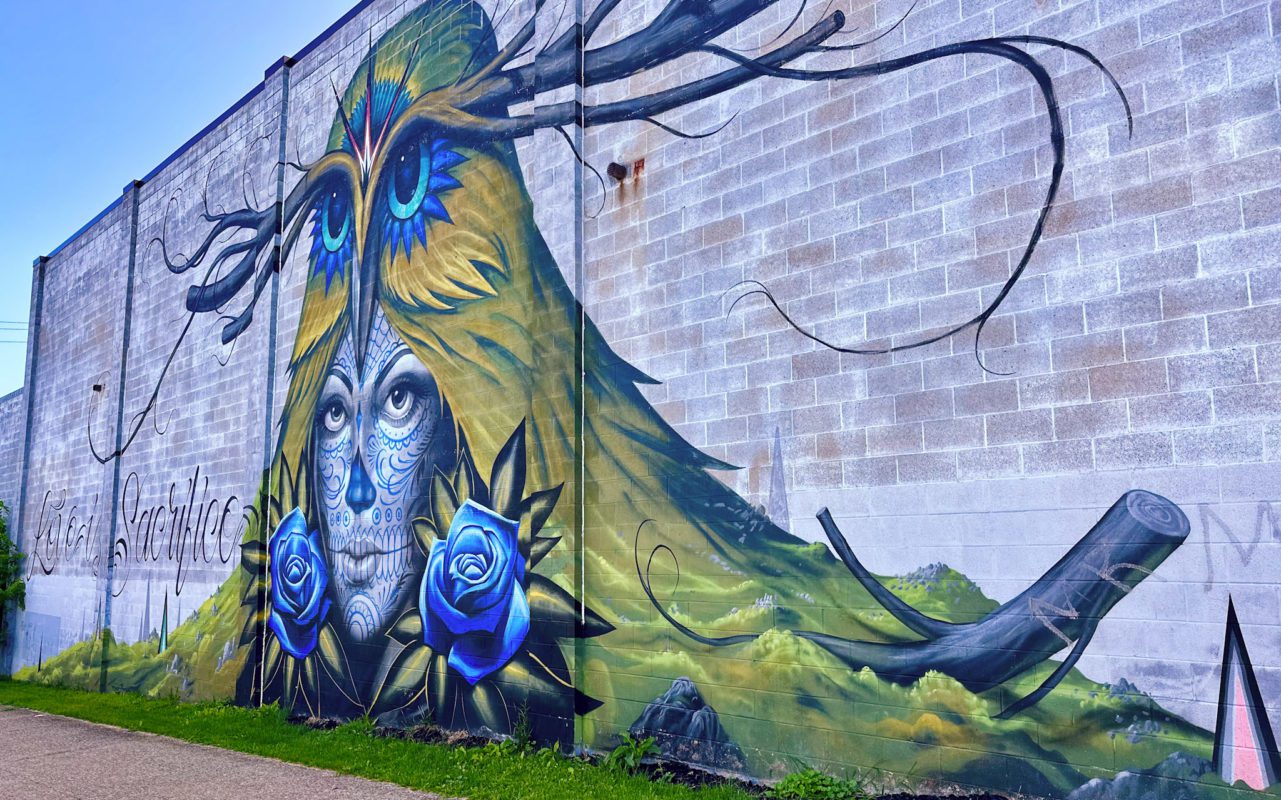 fun things to do in rochester ny