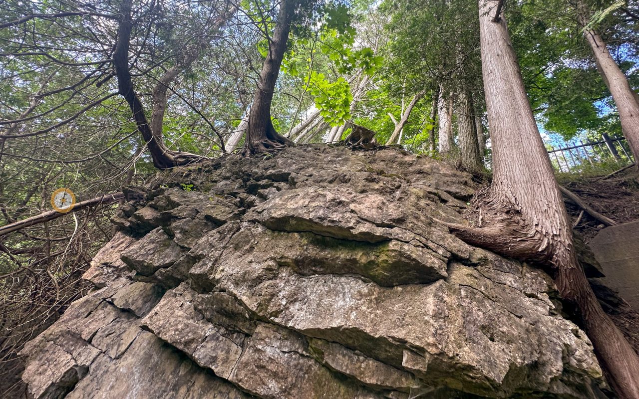 hiking elora gorge - a rock cliff with trees in the background