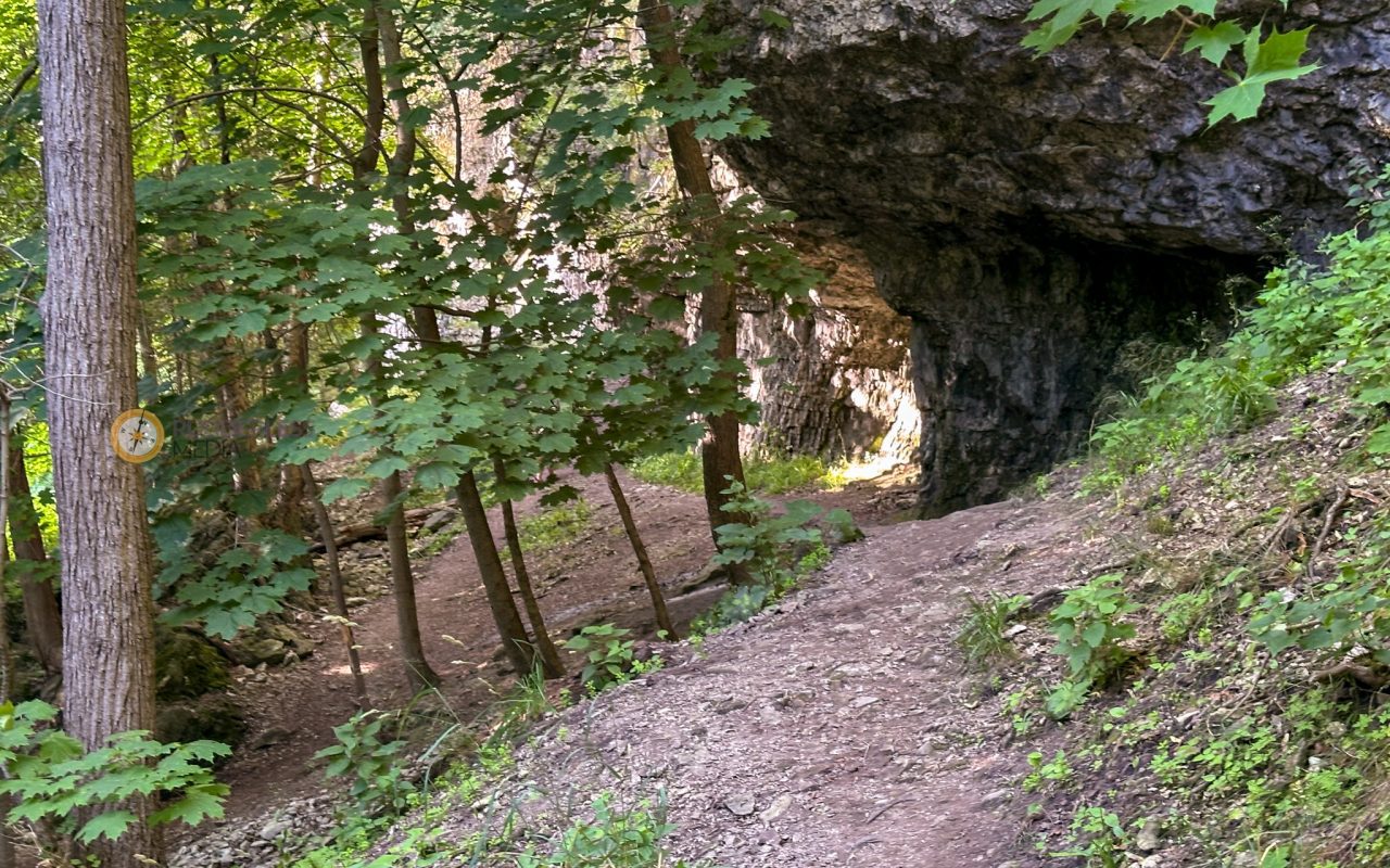hiking elora gorge - a path in the woods