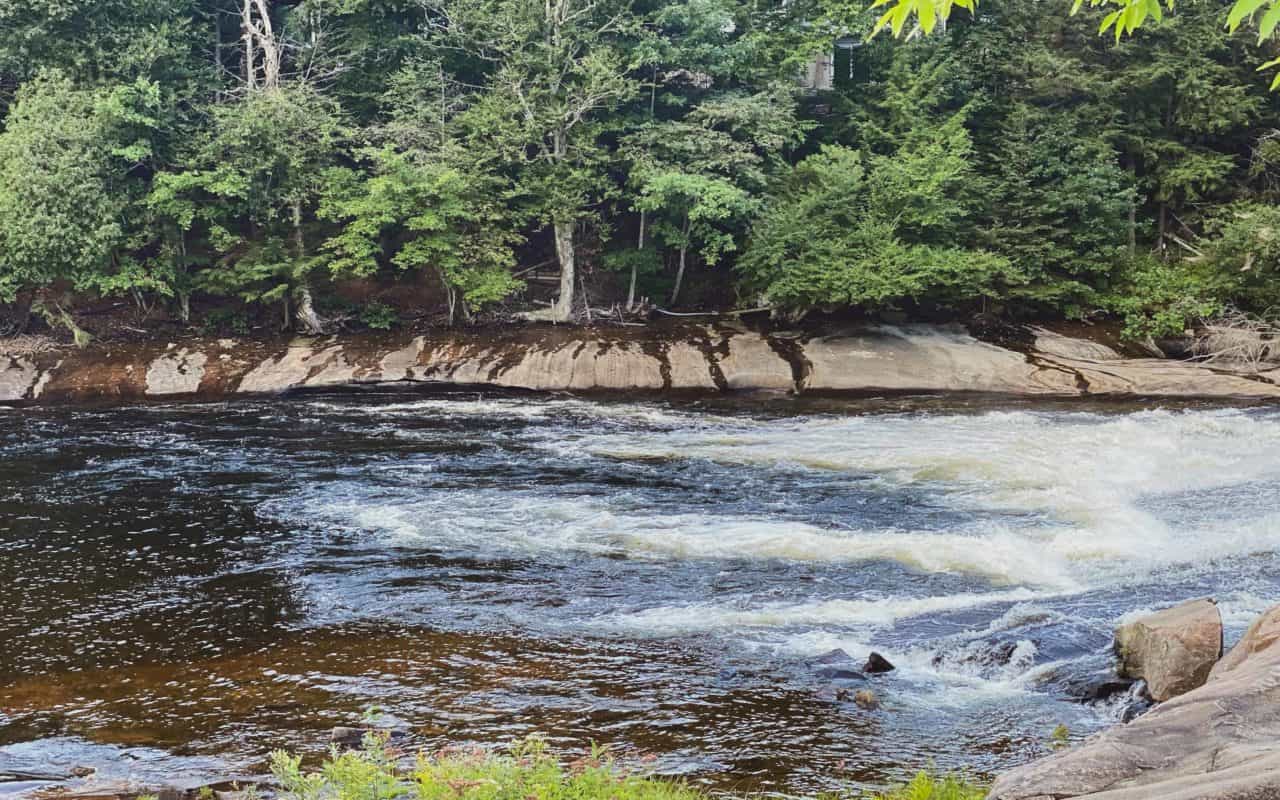 fishing in muskoka