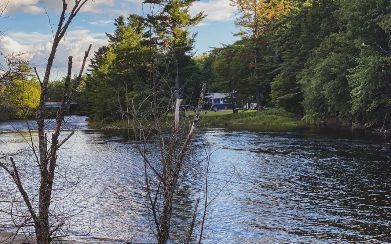 muskoka fishing