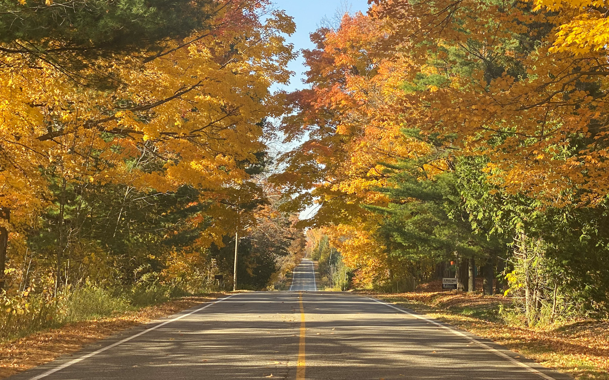Ontario Road Trips