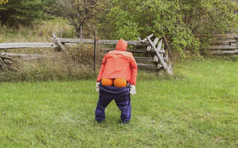 pumpkin picking ontario