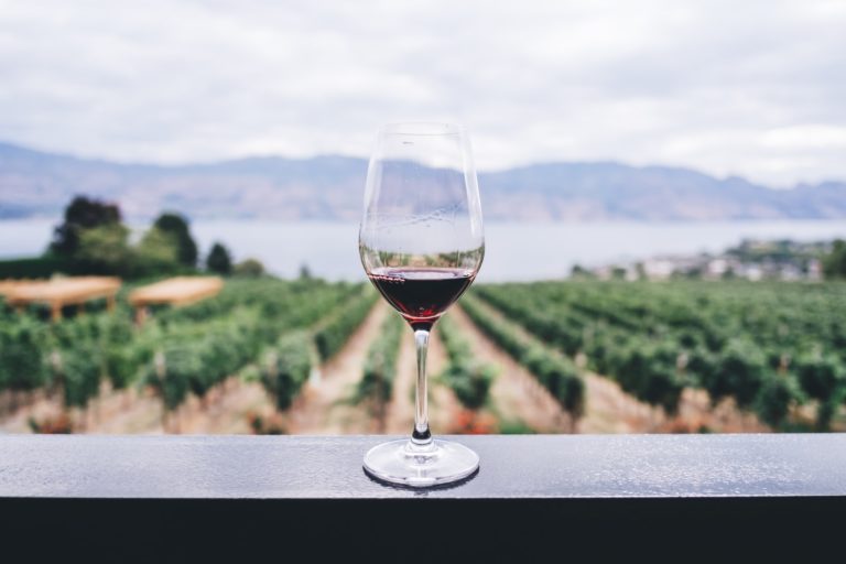 best wineries in prince edward county