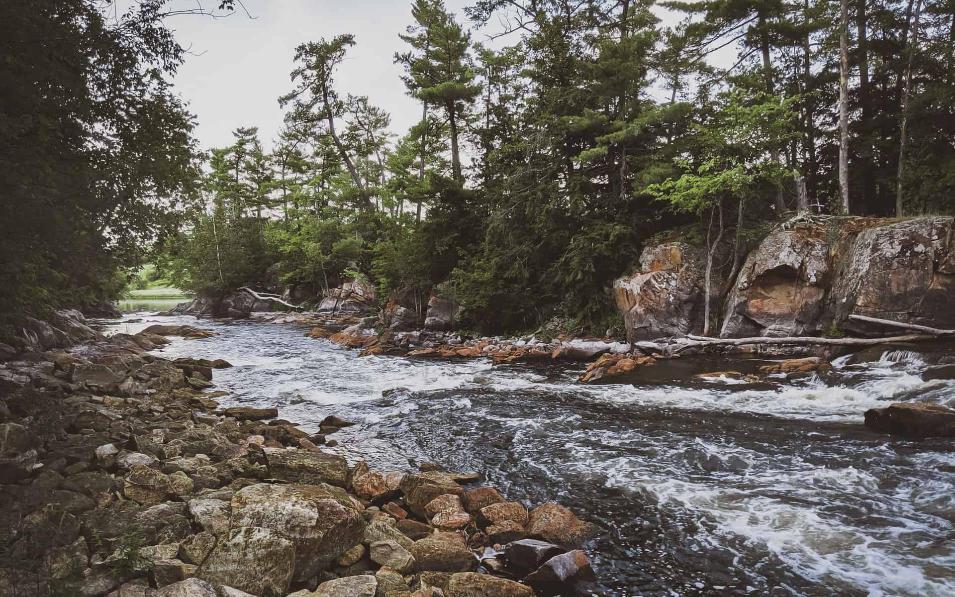 Rocky river with trees on each bank in Almonte, Ontario