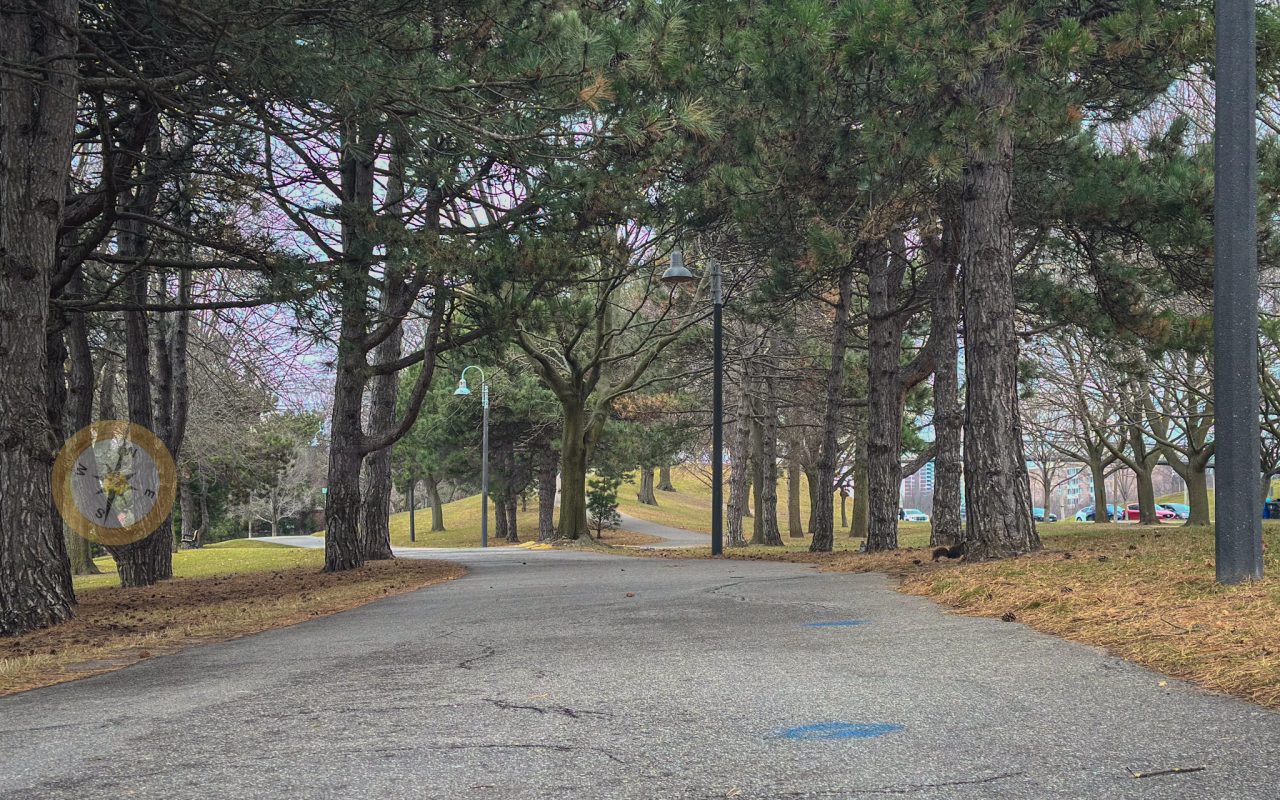 a road with trees in the background