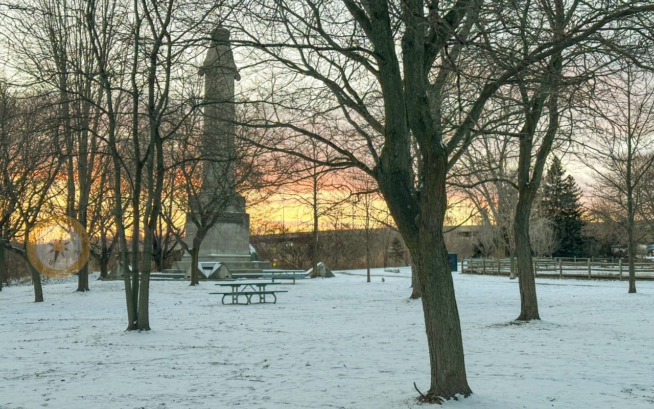 a park with snow and trees