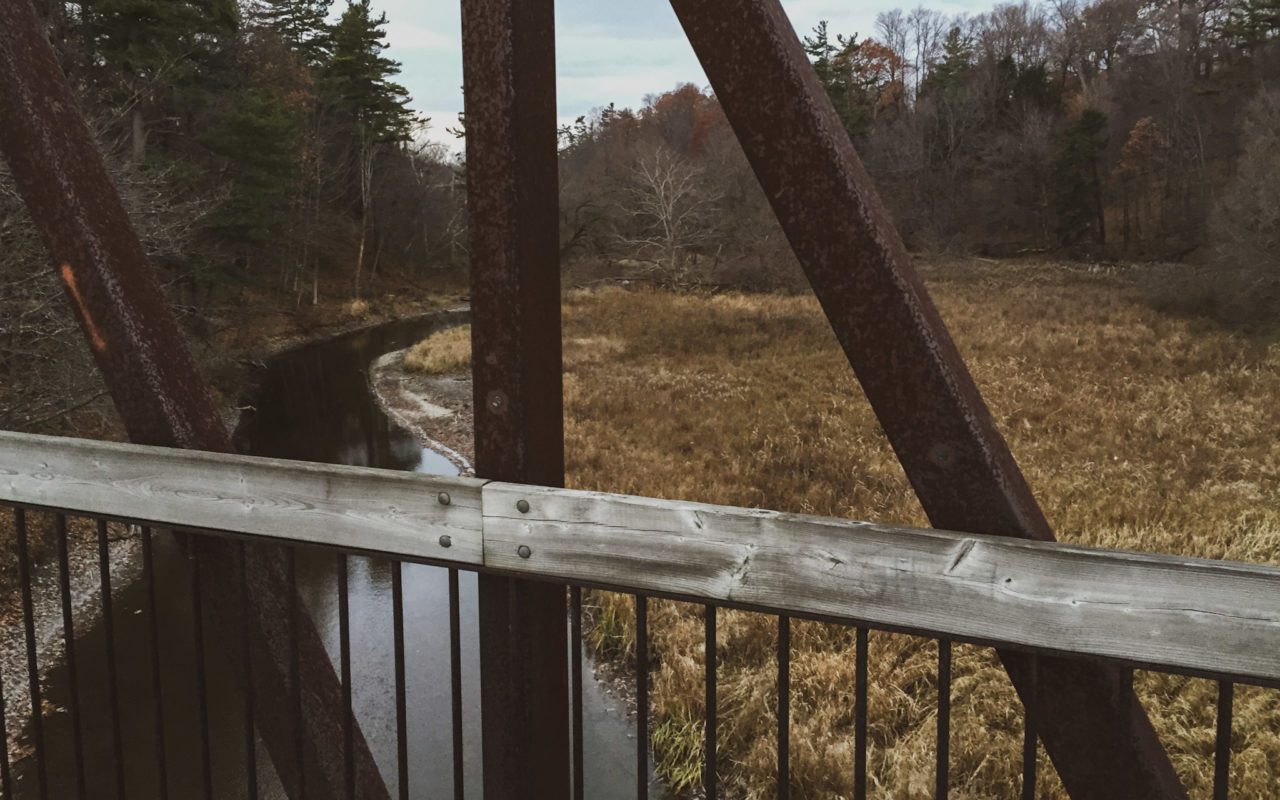 view of a marsh area from a wooden bridge