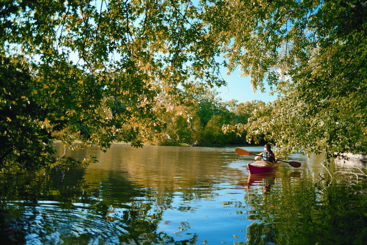 activities in laval