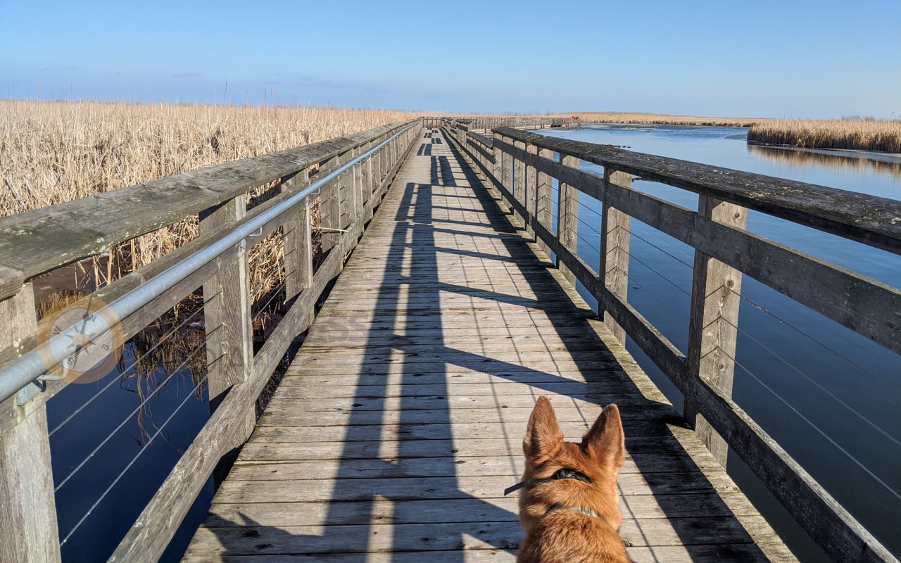 point pelee national park