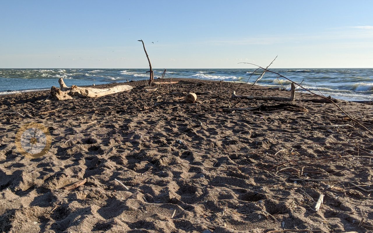 point pelee national park
