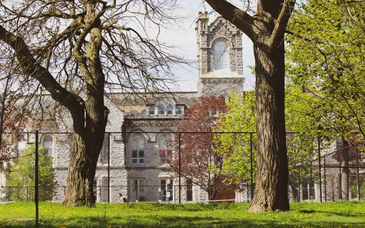 things to do in kingston on