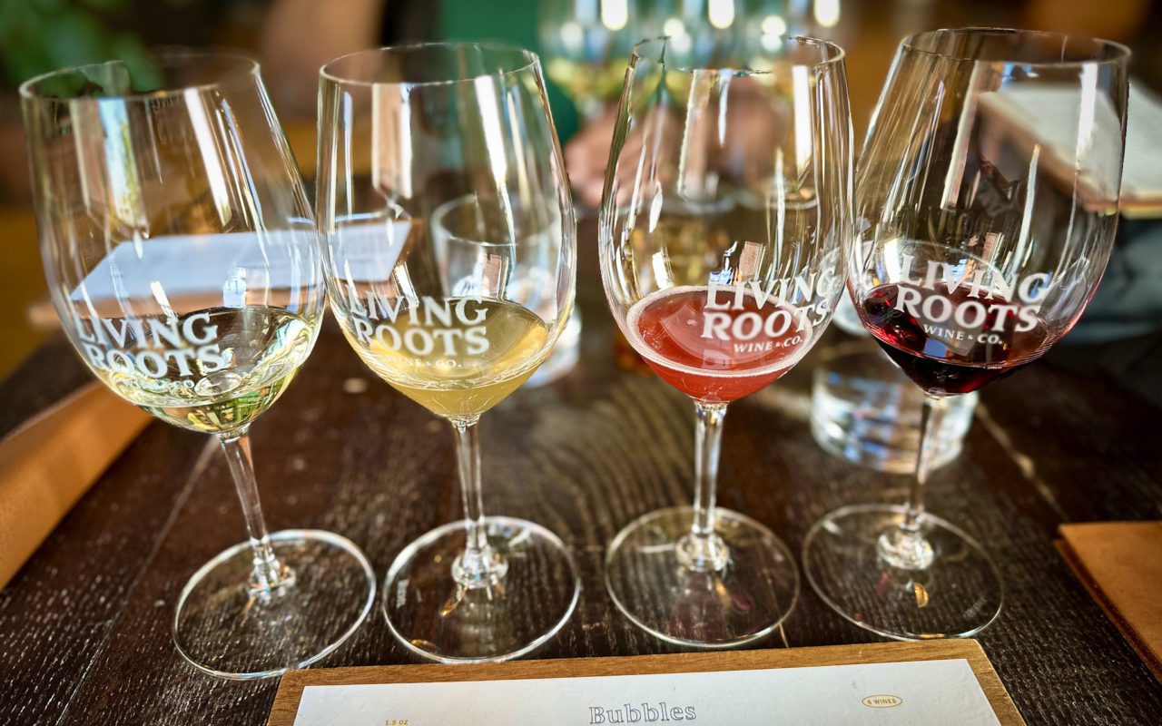 rochester places to visit