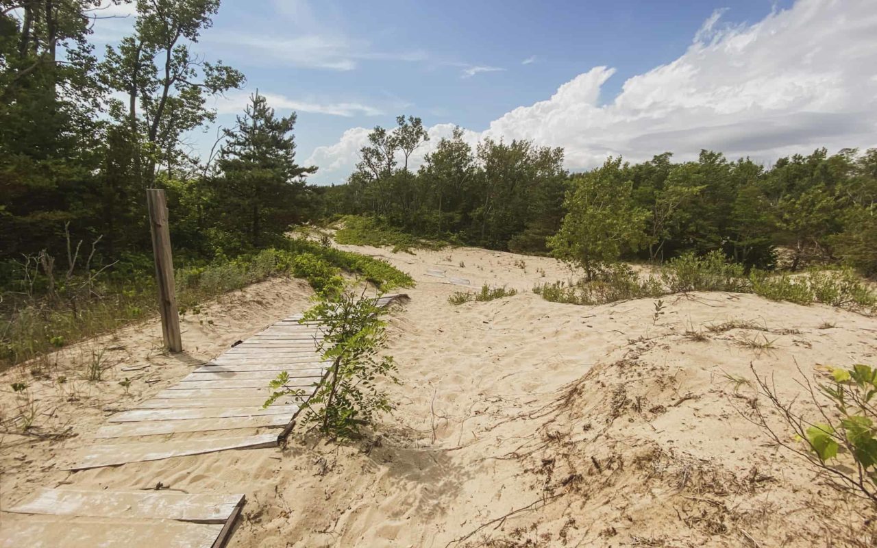 boardwalk leading through a sandy beach area | sandbanks ontario