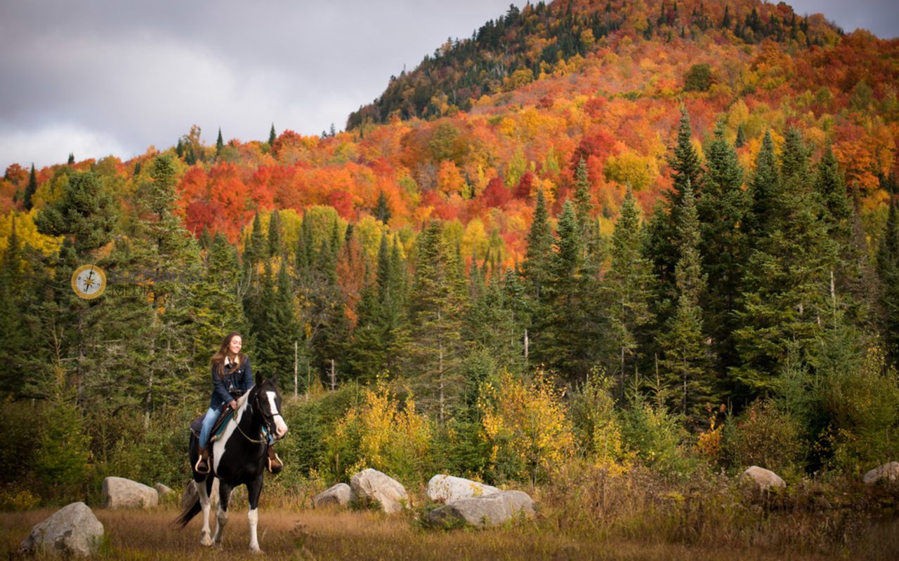 the laurentians
