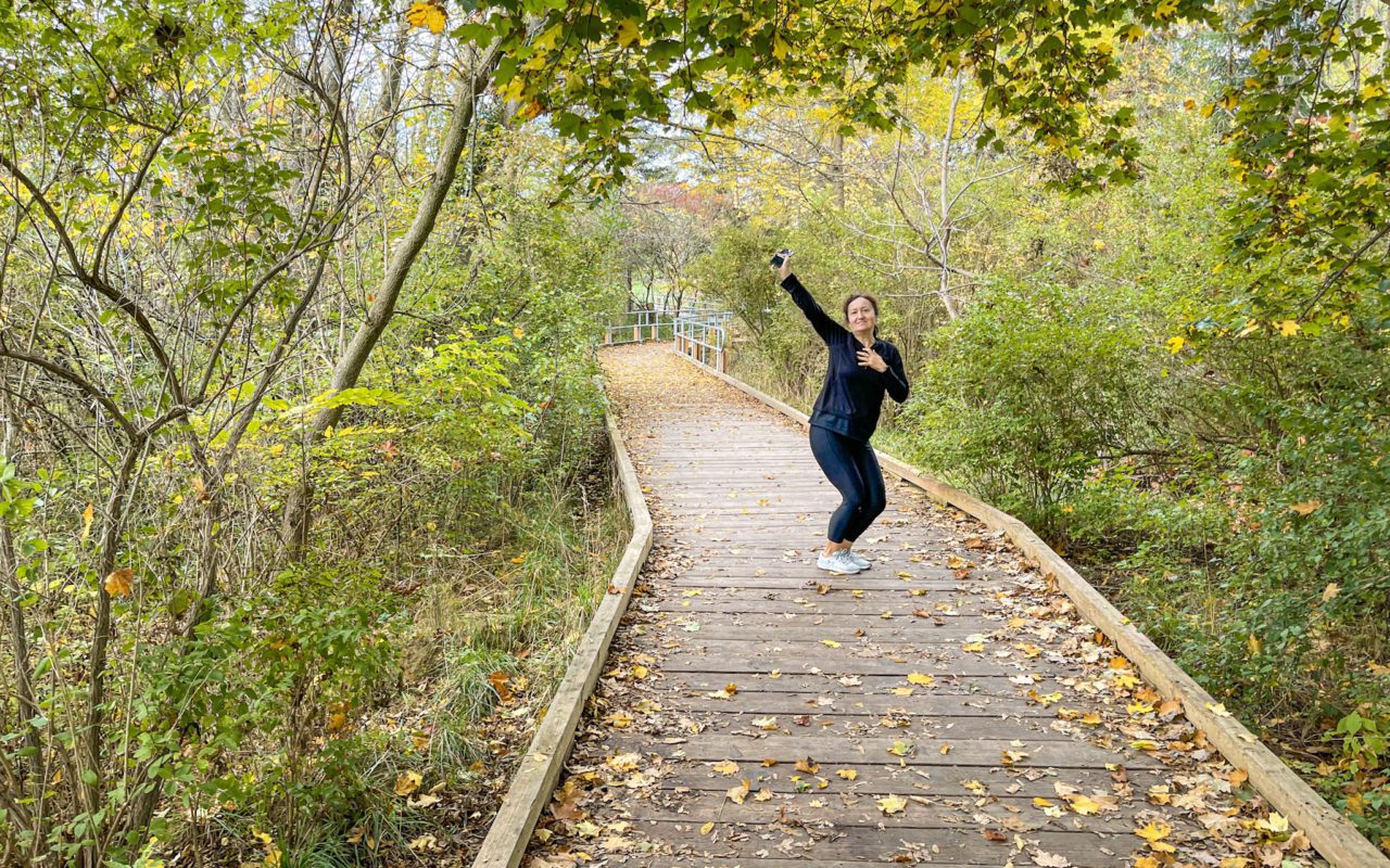 things to do in elora