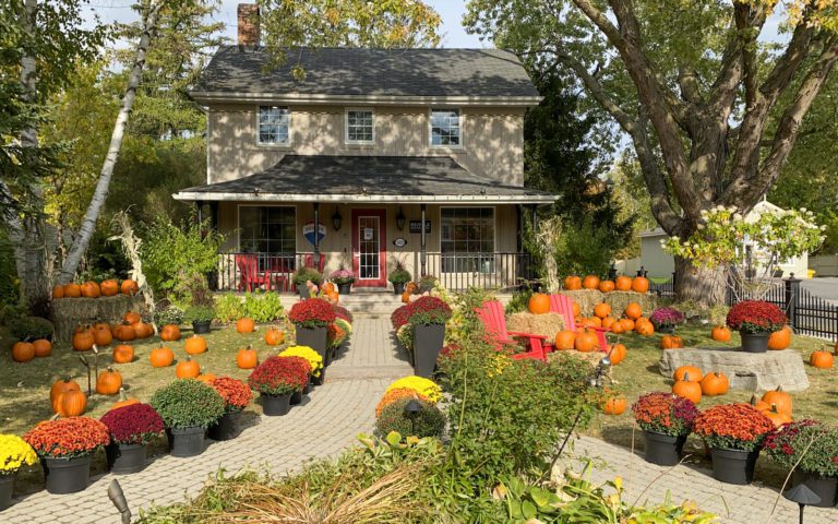 Things To Do In Kleinburg