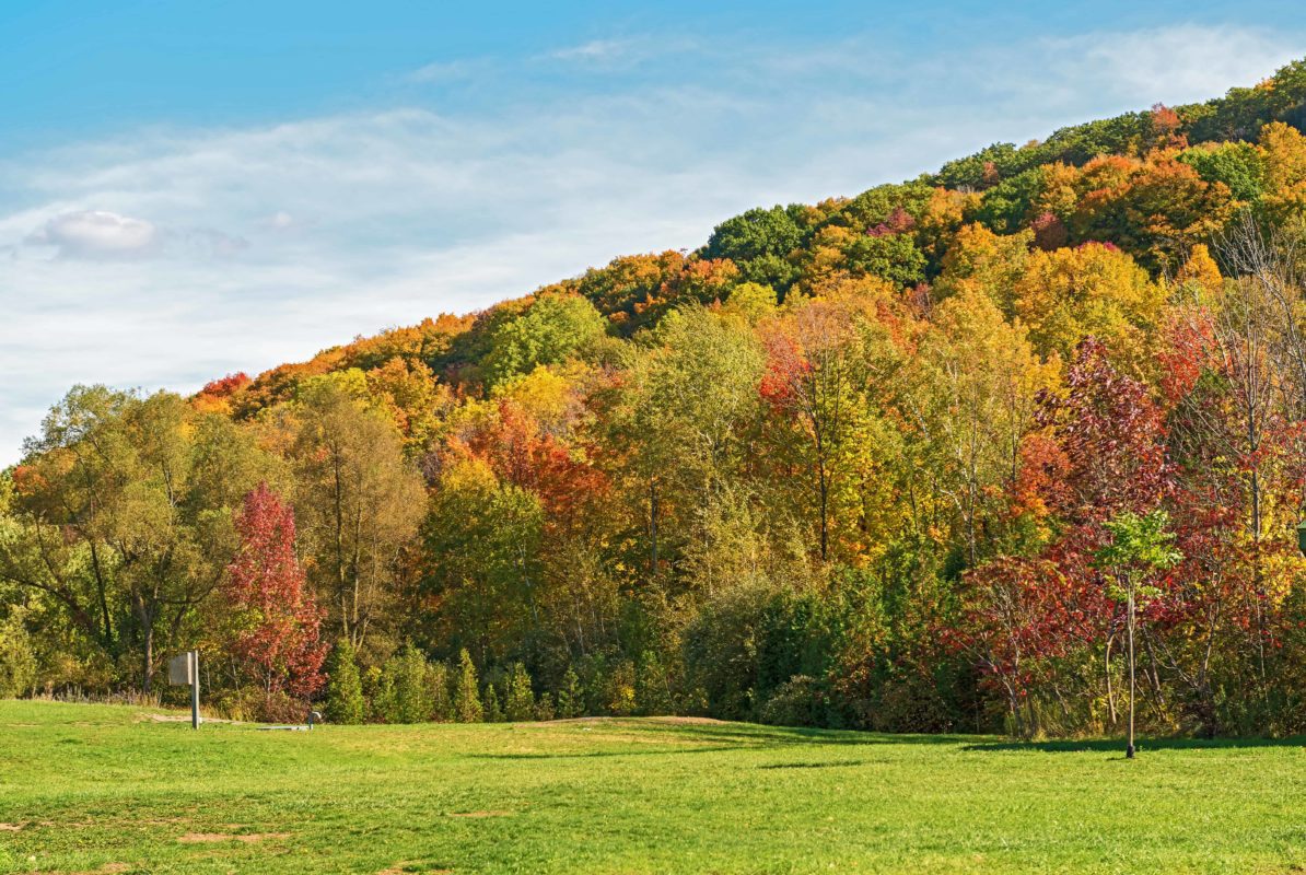 Things To Do In Milton Ontario For Kids