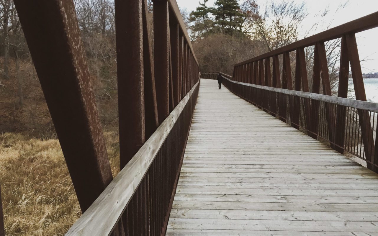 wooden footbridge at the Second Marsh in Durham Region
