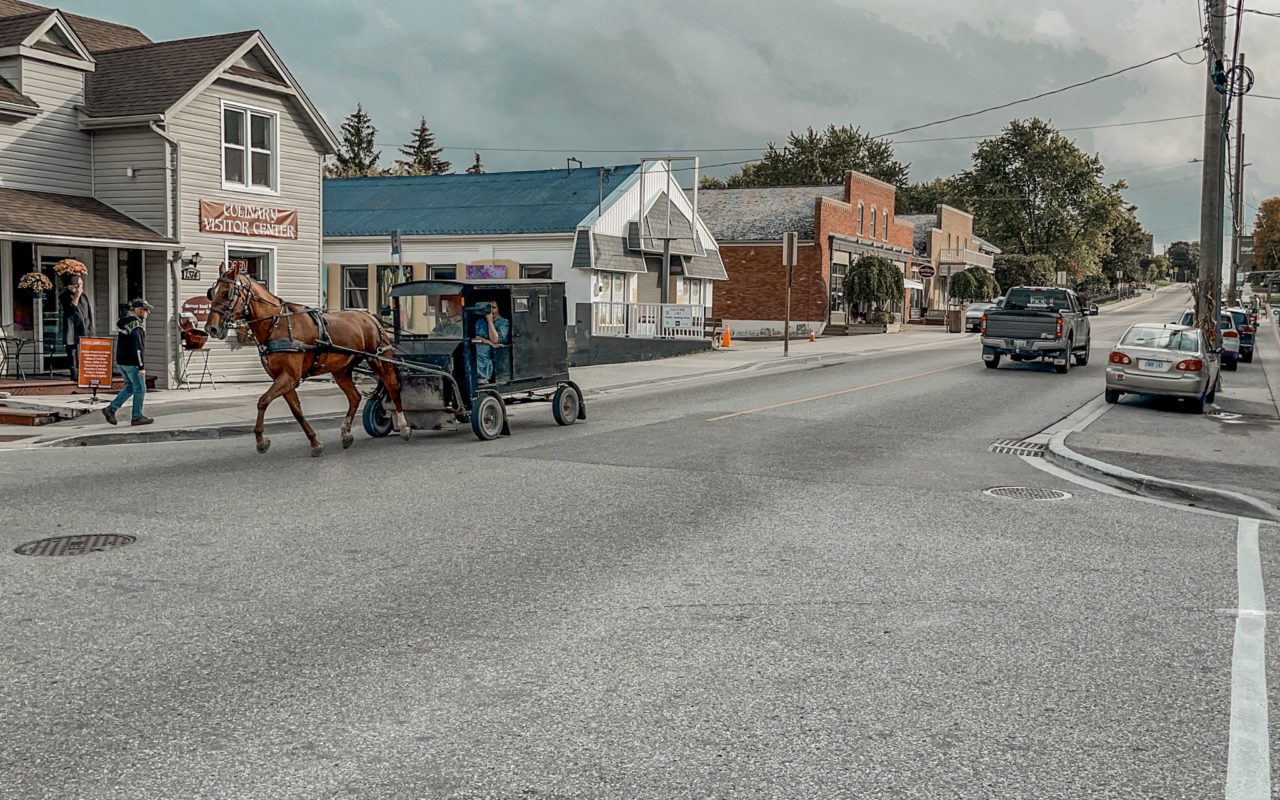 Mennonite wagon being pulled by a horse down a paved street | Things to Do in St Jacobs