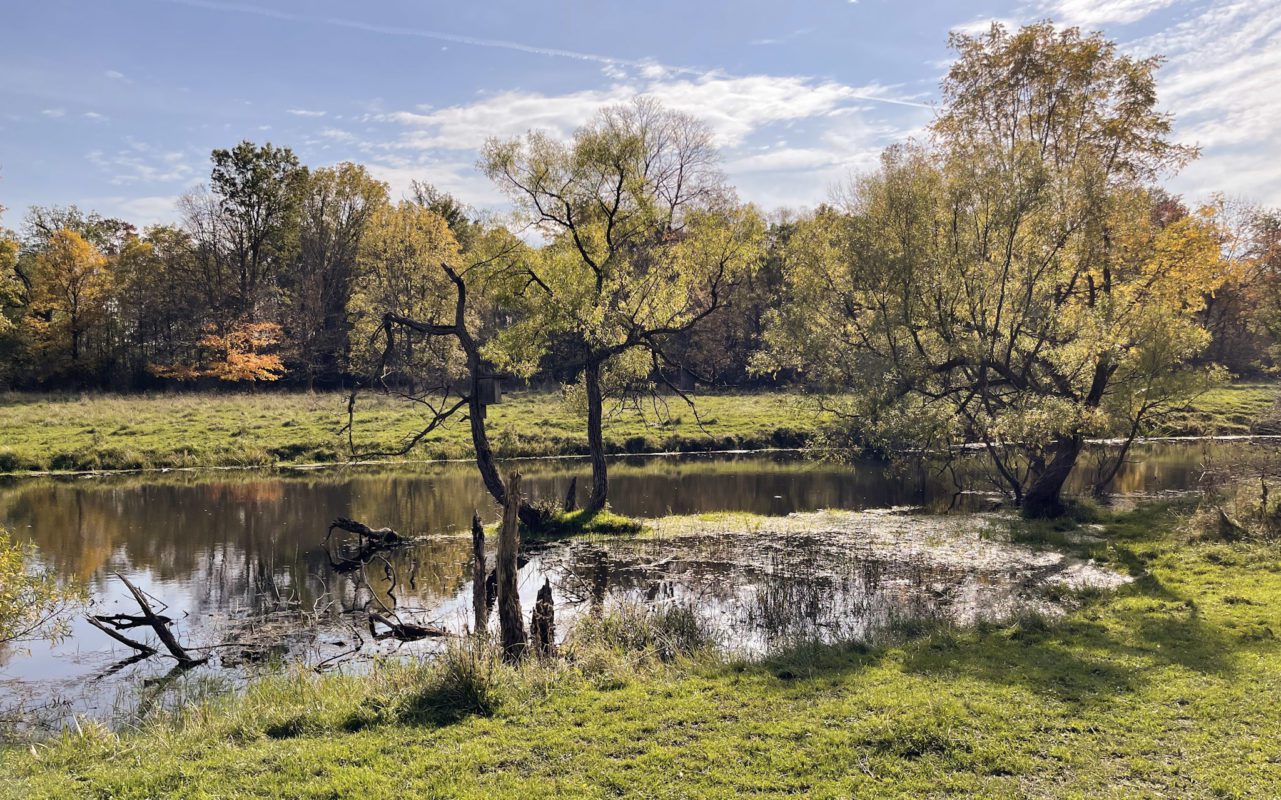 things to do near cambridge ontario