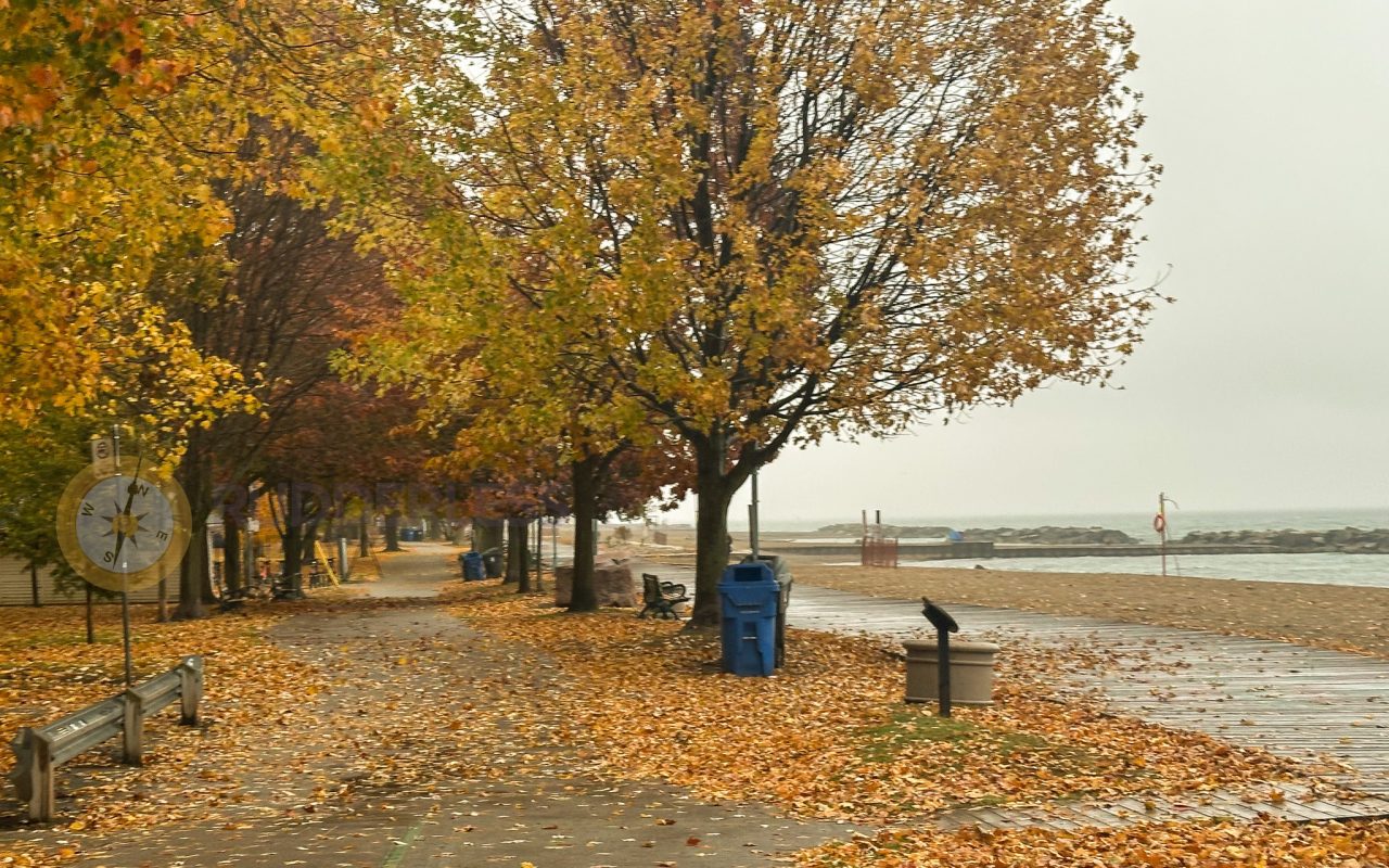 a path with trees and trash cans on the side - toronto lakefront