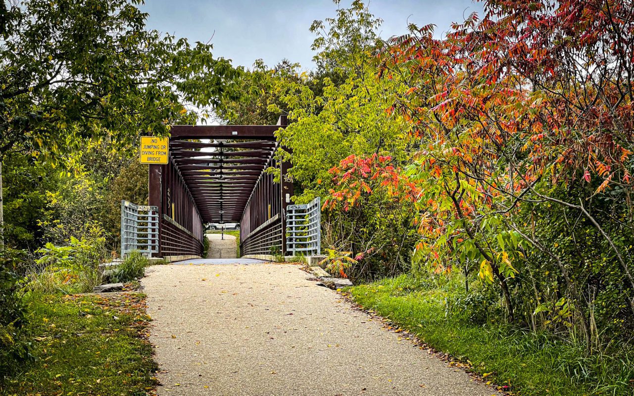what to do in elora