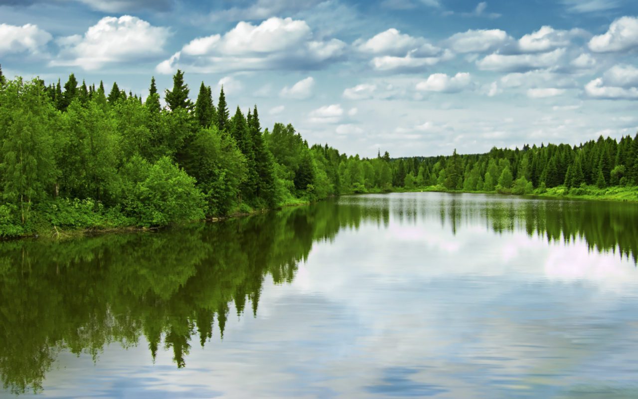 what to do in fergus ontario