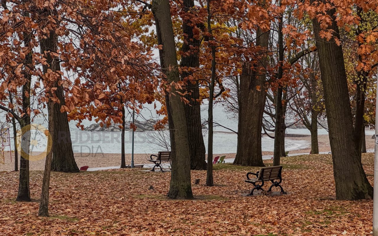 a park with benches and trees - who is martin goodman