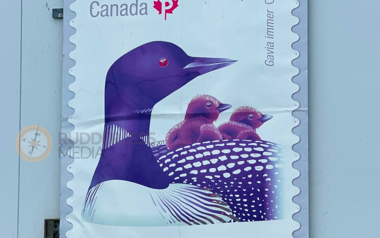 a postage stamp with a picture of a bird and baby birds - who is martin goodman