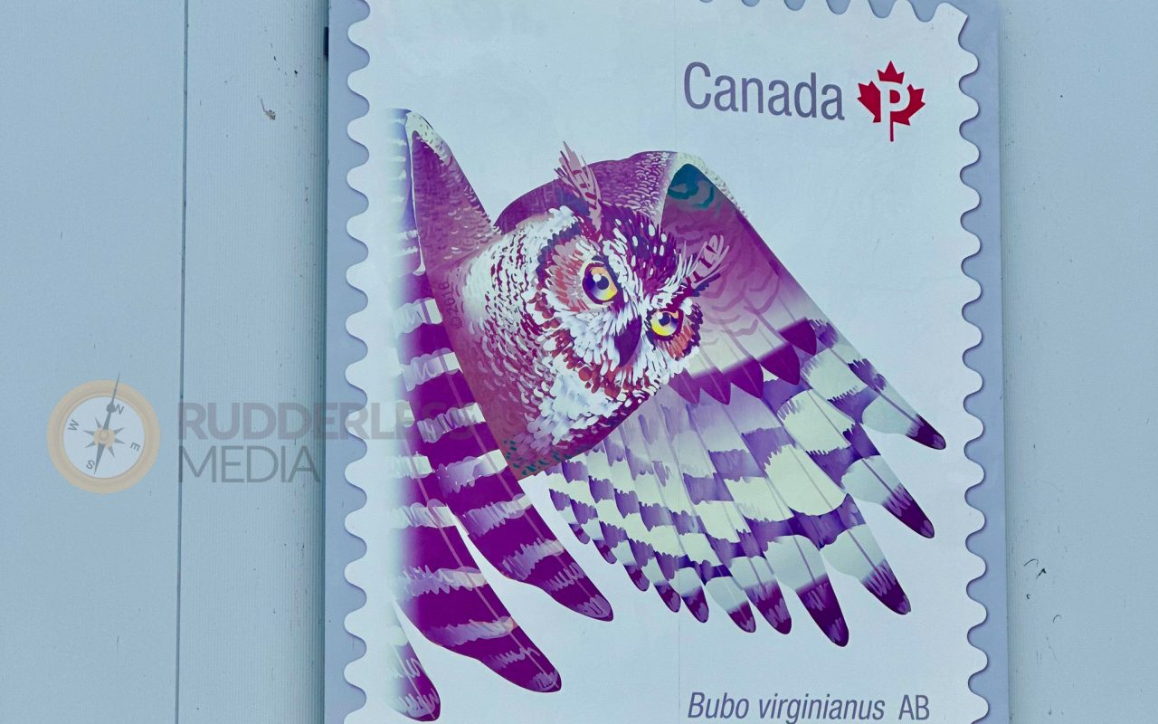 a postage stamp with an owl - who is martin goodman