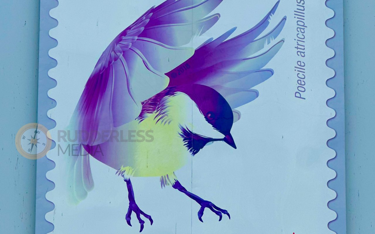 a bird with wings spread - who is martin goodman